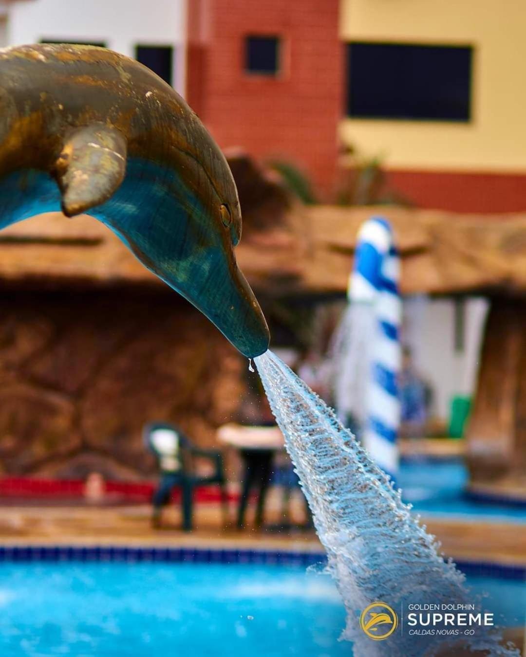 Golden Dolphin Grand Hotel Piscinas 24 Hs Mp Caldas Novas